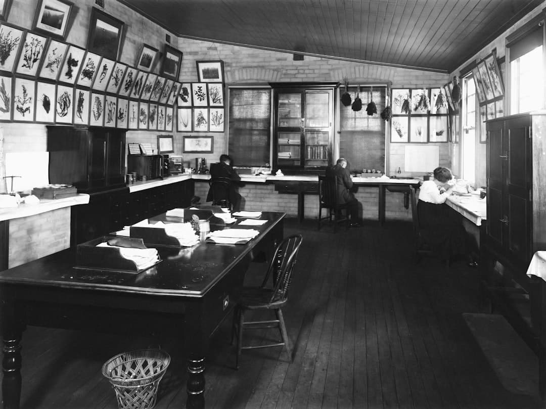 Modern Laboratory